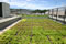 Green roof